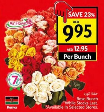 Viva Rose bunch offer