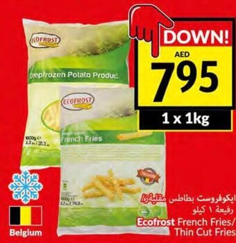 Viva Ecofrost french fries/ thin cut fries 1 x 1kg offer