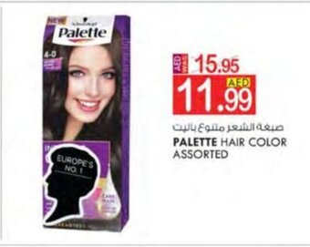 KM Trading Palette hair color assorted offer