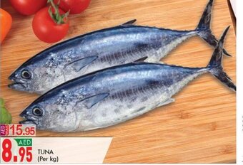 KM Trading Tuna Per Kg offer