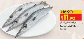 Lulu Hypermarket Barracuda Fish Per Kg offer