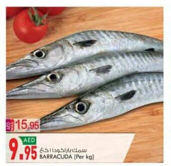 KM Trading Barracuda (per kg) offer