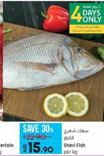 Lulu Hypermarket Sheri fish per kg offer