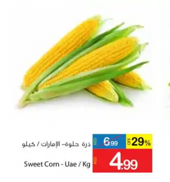 Ajman Market Sweet corn per kg offer