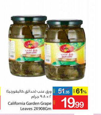 Ajman Market California garden grape leaves 2 x 908gm offer