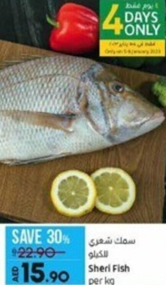 Lulu Hypermarket Sheri Fish per kg offer