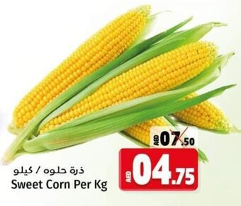 Kenz Hypermarket Sweet Corn per kg offer