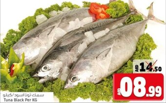 Kenz Hypermarket Tuna Black Per kg offer
