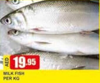 Safeer Market Milk Fish Per kg offer