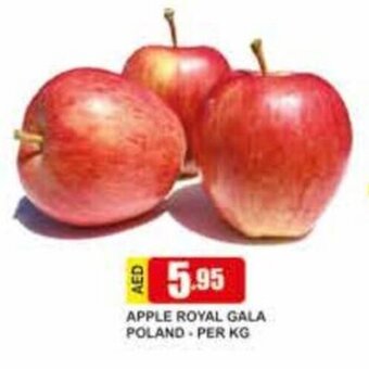 Safeer Market Apple Royal Gala Poland - per kg offer