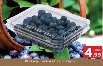Nesto Blueberry per box (Approx. 125gm) offer
