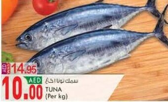 KM Trading Tuna (per kg) offer