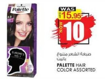 KM Trading Palette Hair Color Assorted offer