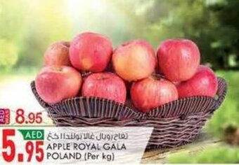 KM Trading Apple Royal Gala Poland (per kg) offer