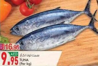 KM Trading Tuna (per kg) offer