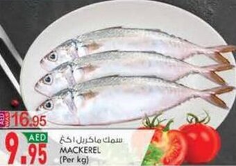 KM Trading Mackerel (per kg) offer