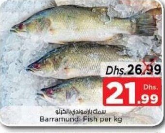 Nesto Barramundi fish per kg offer