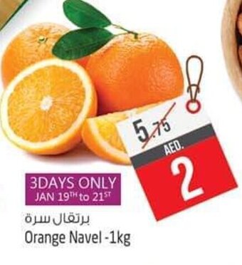 Safari Hypermarket Orange Navel - 1kg offer