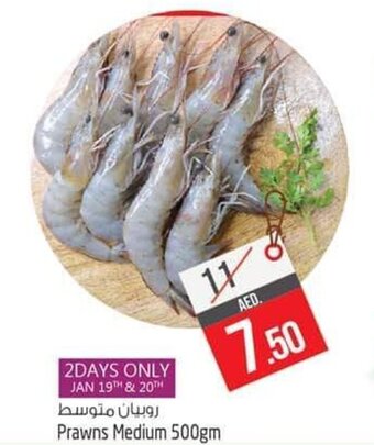 Safari Hypermarket Prawns Medium 500gm offer