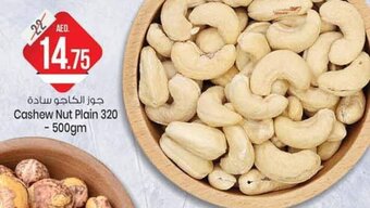 Cashew Nut Plain 320-500gm