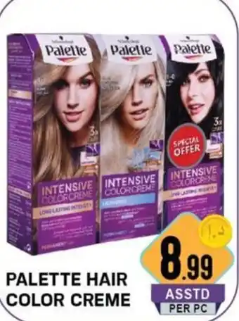 Day To Day Palette Hair Color Creme offer