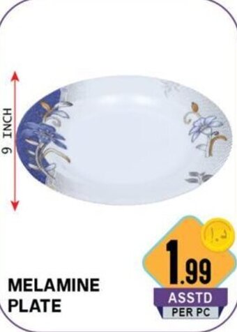Day To Day Melamine Plate offer
