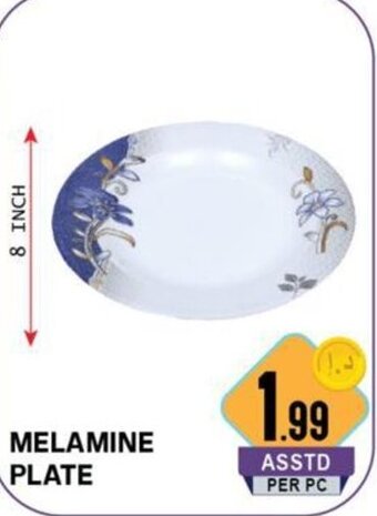 Day To Day Melamine Plate offer