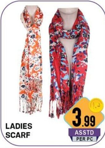 Day To Day Ladies Scarf offer