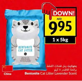 Viva Bentonite cat litter lavender scent 1 x 5kg offer