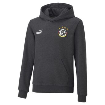 Puma Ftblcore fan hoodie youth offer