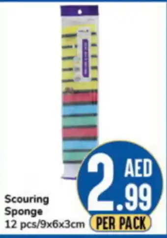 Day To Day Scouring Sponge 12 pcs/9x6x3cm offer