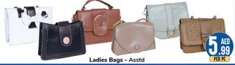 Day To Day Ladies Bags - Asstd offer