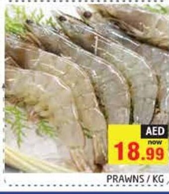 Pasons Prawns Kg offer