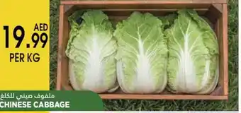 Almaya supermarket Chinese Cabbage Per Kg offer