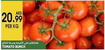 Almaya supermarket Tomato Bunch Per Kg offer