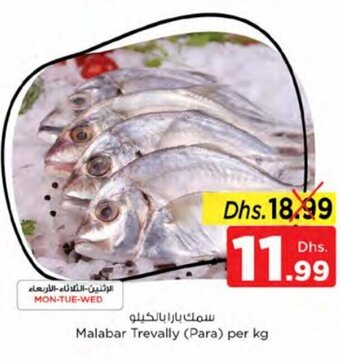 Nesto Malabar Trevally (Para) per kg offer