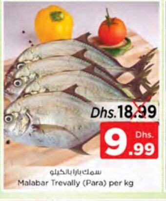 Nesto Malabar trevally per kg offer