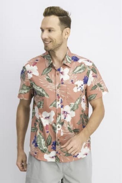 casual shirts offer