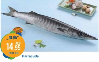West Zone Supermarket Barracuda per kg offer