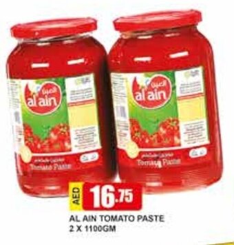 Safeer Market Al Ain Tomato Paste 2 x 1100gm offer