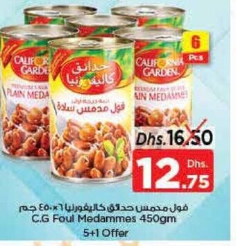 Nesto C.g foul medammes 450gm 5+1 offer offer