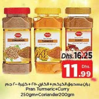 Nesto Pran turmeric+curry 250gm+coriander 200gm offer