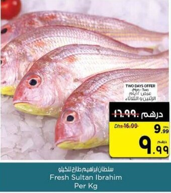 Nesto Fresh Sultan Ibrahim Per Kg offer