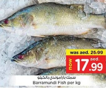 Nesto Barramundi Fish per kg offer