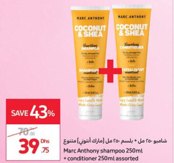 Carrefour Marc Anthony shampoo 250ml + conditioner 250ml assorted offer