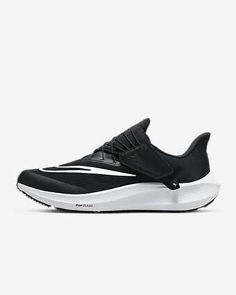 Nike Nike pegasus flyease offer