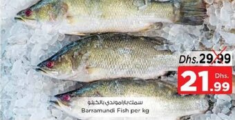 Nesto Barramundi Fish per kg offer