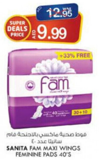 KM Trading Sanita Fam Maxi Wings Feminine Pads 40's offer