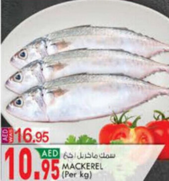 KM Trading Mackerel (per kg) offer