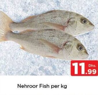 Nesto Nehroor Fish per kg offer